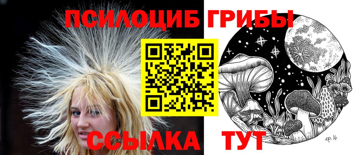 Псилоцибиновые грибы Psilocybine cubensis  Вход с VPN  Жуковский 