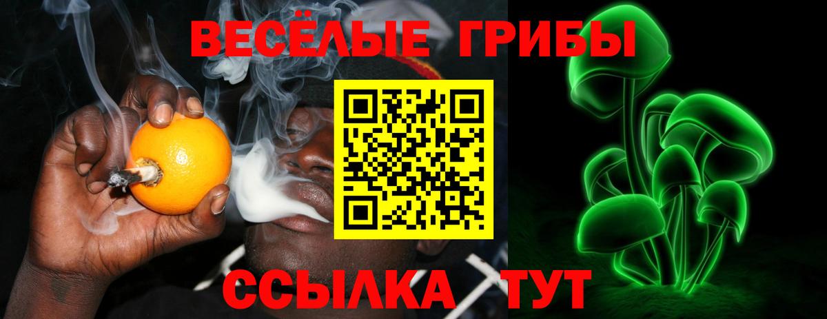 Галлюциногенные грибы мицелий Жуковский